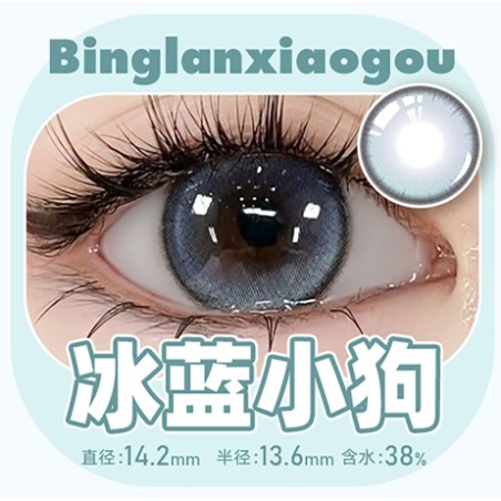 冰蓝小狗 blue color contact lens 14.2mm 1 piece